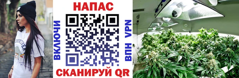 Цена Кущёвская Кетамин  Alpha-PVP  Меф мяу мяу  Кокаин  Конопля 
