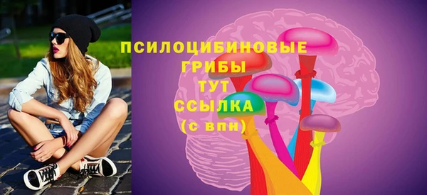 кокс Арсеньев