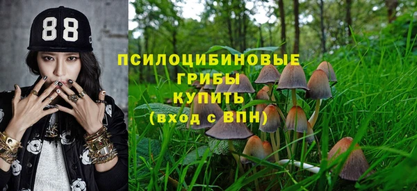 a pvp Армянск